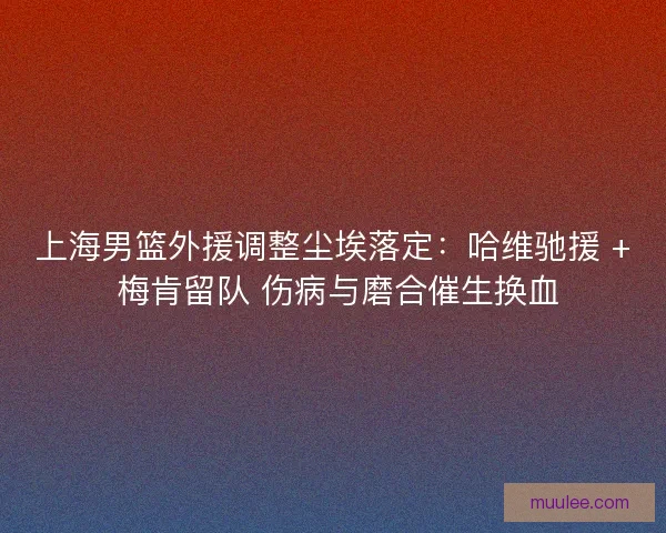 上海男篮外援调整尘埃落定：哈维驰援 + 梅肯留队 伤病与磨合催生换血